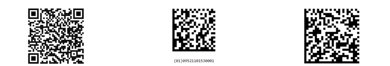 Qr_code_data_matrix_ds1_digital_link