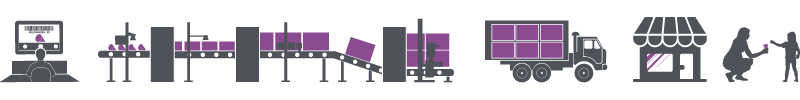 End-to-end-solutions-800x100-24