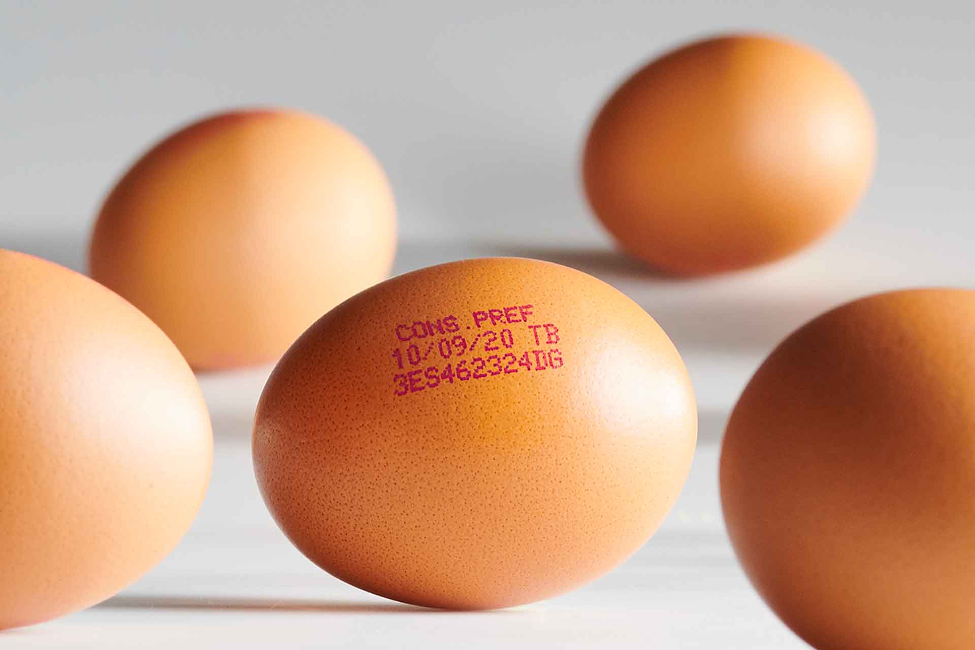 Huevos-Guillen-G2020-0921-1920x1280-10