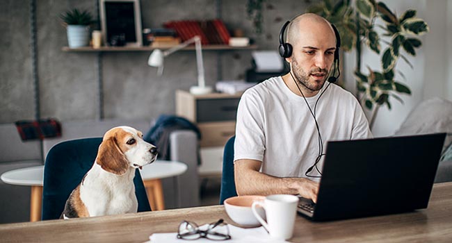 People-Life-Flexible-Work-Arrangements-650x350-50